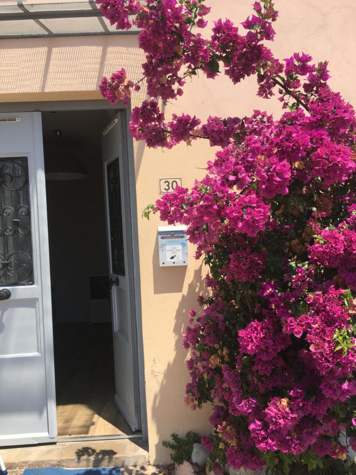 Appartement Central Des Terres Chaudes Proche Bord De Mer Mentona Zewnętrze zdjęcie
